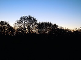 日出,冬季日出,天空
