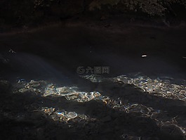 水,鏡像,彩虹色