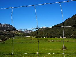 籬笆,wildzaun,野生動物圍欄