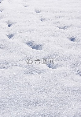雪,痕跡,白
