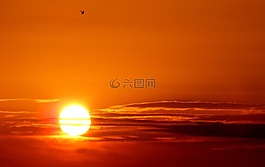 太陽(yáng),天空,鳥(niǎo)類(lèi)