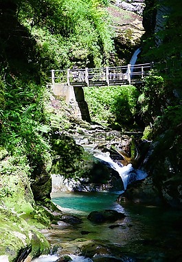 thurbach,過獨身生活,峽谷