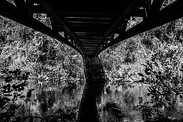 橋,反思,水