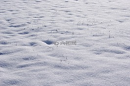 雪,冬天,寒冬