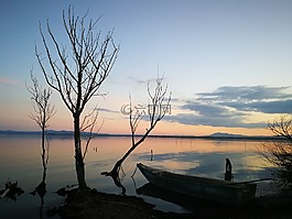 湖,水,捕魚