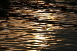 黄金,暮光之城,海