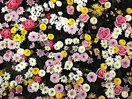 鲜花,纹理,花地毯