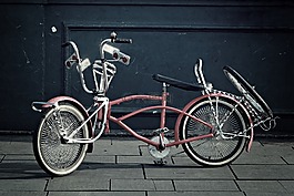 運動,自行車,循環(huán)