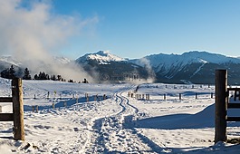冬天,雪,tuxer阿爾卑斯山