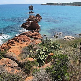 撒丁島,海,巖