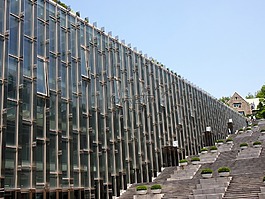 樓梯,大學,梨花