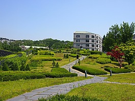 大学,梨花,建设