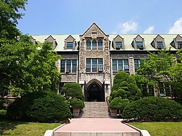 大學,梨花,建設