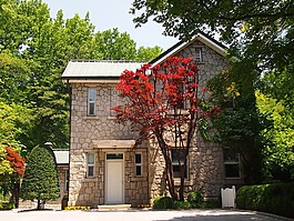 大学,梨花,建设