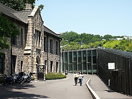 大学,梨花,建设