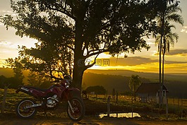 自行車,景觀,地平線