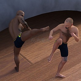 男子,武術,國防