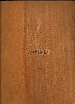 材料,木材,原木