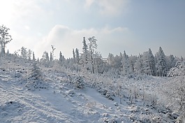 冬季,山,雪
