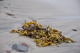 墨,glon,海灘