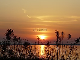日出,湖,金