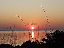 日出,湖,草