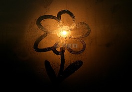 花卉,太陽,日落