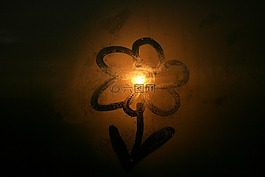 花卉,太陽,日落