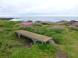 俄勒岡州亞查茨,太平洋海岸,海灘