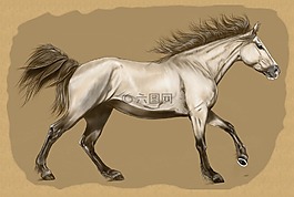 馬,數字藝術作品,藝術