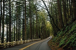 路,路面,農(nóng)村