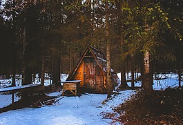 冬天,雪,景觀