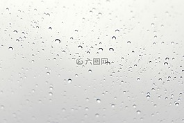 雨滴,雨,濕