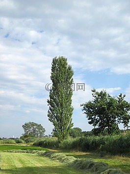 德國(guó),景觀,天空