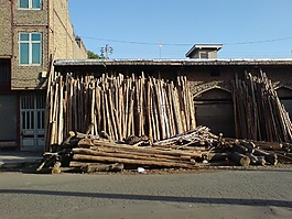 輛,伊拉克,樹干