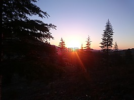 太阳能,早上,日出