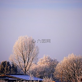 冰,冬天,雪