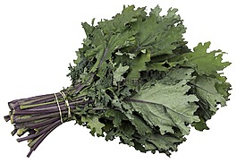 啟動rhubarde,有機食品,蓼科