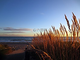 波羅的海,海灘,冬天