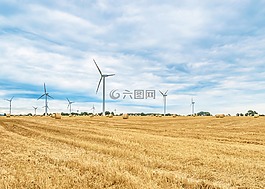 麥田,收獲,風(fēng)力發(fā)電廠