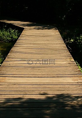 木板路,森林,自然教育徑