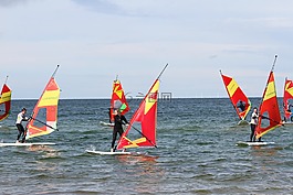 沖浪,海,夏季