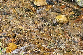 河,巖,水