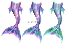 美人魚(yú),人魚(yú),濱海