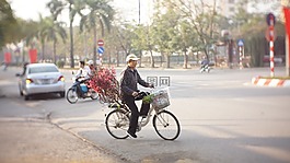 春,男子,桃花