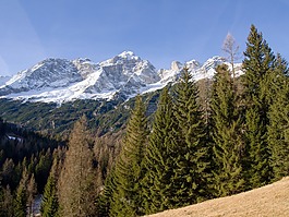 阿爾卑斯山,雪,森林