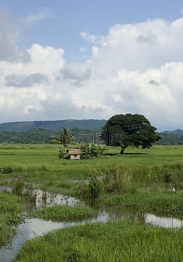 菲律賓,景觀,天空
