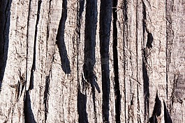 木,結(jié)構(gòu),基金