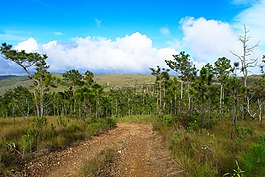 山,景觀,天空