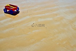 海滩,沙,夏天